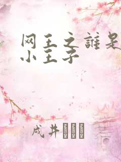 网王之谁是我的小王子