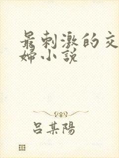 最刺激的交换夫妇小说