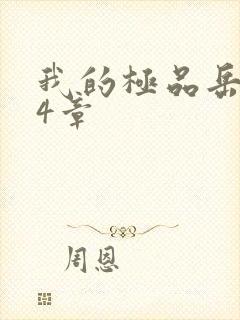 我的极品岳坶34章