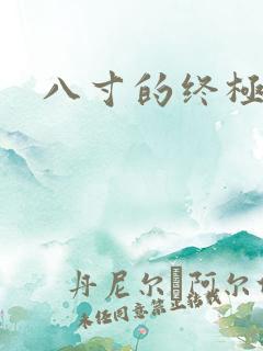 八寸的终极凶器