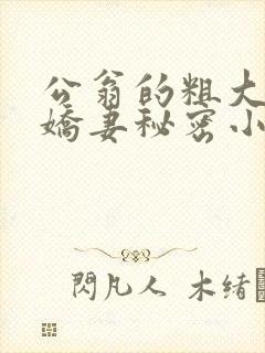 公翁的粗大放进娇妻秘密小说