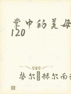 掌中的美母版主120