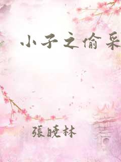 小子之偷采双圣