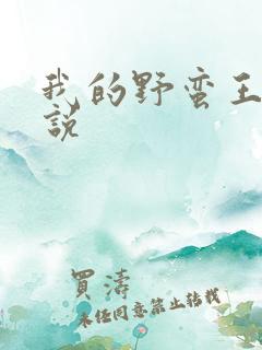 我的野蛮王妃小说