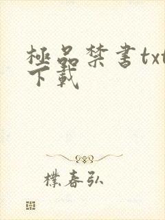 极品禁书txt下载