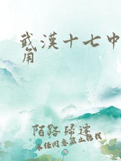 武汉十七中女主角