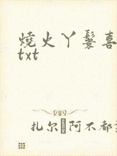 烧火丫鬟喜洋洋txt