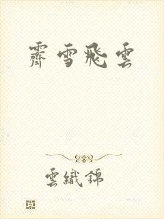 霁雪飞云