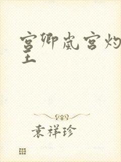 宫卿岚宫灼摄政王