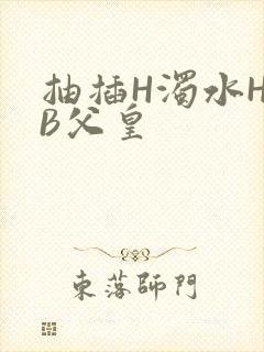 抽插H浊水H嫩B父皇