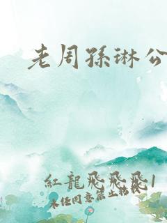 老周孙琳公交车