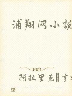 浦翔网小说