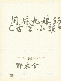 周府九娘的NPC古言小说叫什么