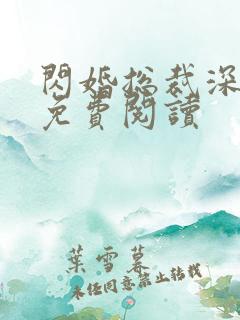 闪婚总裁深深宠免费阅读