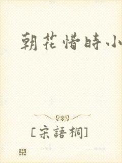 朝花惜时小说