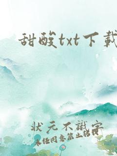 甜酸txt下载