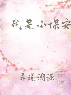 我是小保安