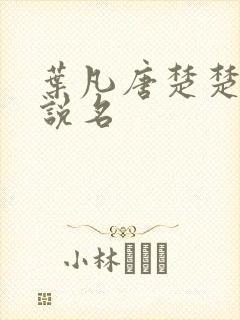 叶凡唐楚楚的小说名