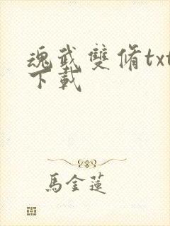 魂武双修txt下载