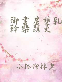 御书房双乳晃动干柴烈火