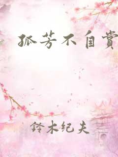 孤芳不自赏小说