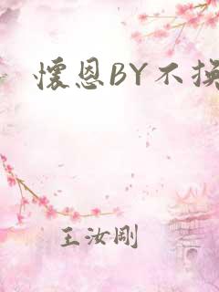 怀恩BY不换