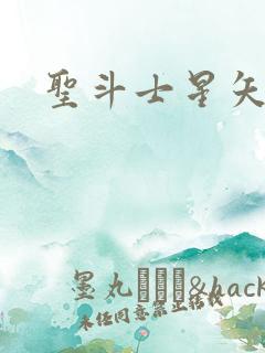 圣斗士星矢小说