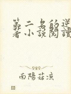 第二名的逆袭原著小说阅读软件