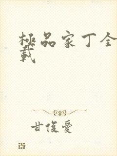 极品家丁全集下载