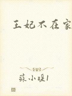 王妃不在家