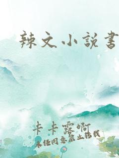 辣文小说书包网