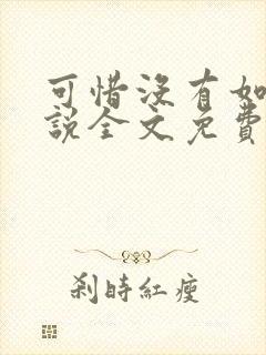 可惜没有如果小说全文免费阅读