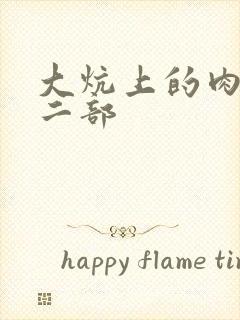 大炕上的肉伦第二部