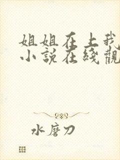 姐姐在上我在下小说在线观看