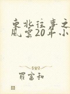 东北往事之黑道风云20年小说