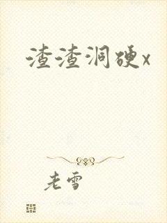 渣渣洞硬x