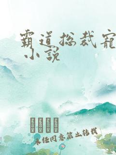 霸道总裁宠上天 小说