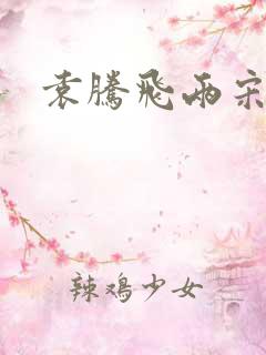 袁腾飞两宋风云