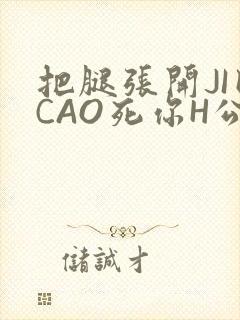 把腿张开JI巴CAO死你H公园