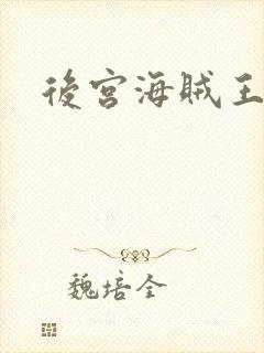 后宫海贼王下载