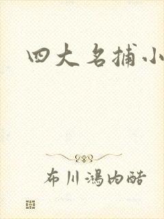 四大名捕小说