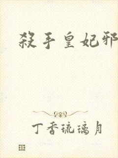 杀手皇妃邪魅帝