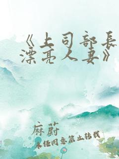 《上司部长出轨漂亮人妻》