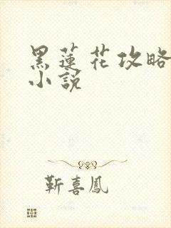 黑莲花攻略手册小说