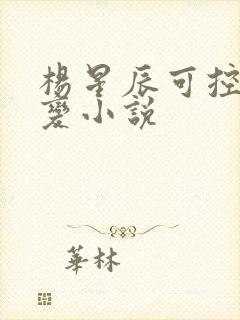 杨星辰可控核聚变小说