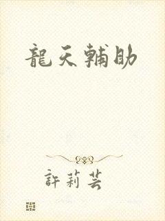 龙天辅助