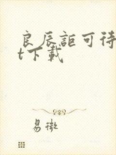 良辰讵可待txt下载