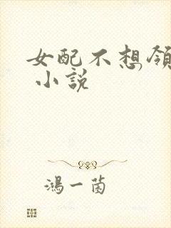 女配不想领便当 小说