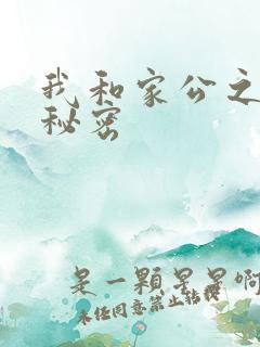 我和家公之间的秘密