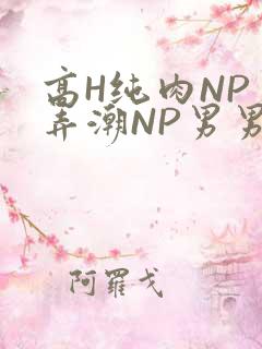 高H纯肉NP 弄潮NP男男